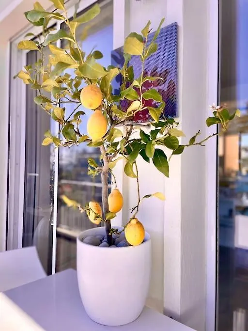 2P Bonjour Soleil Apartment Nice